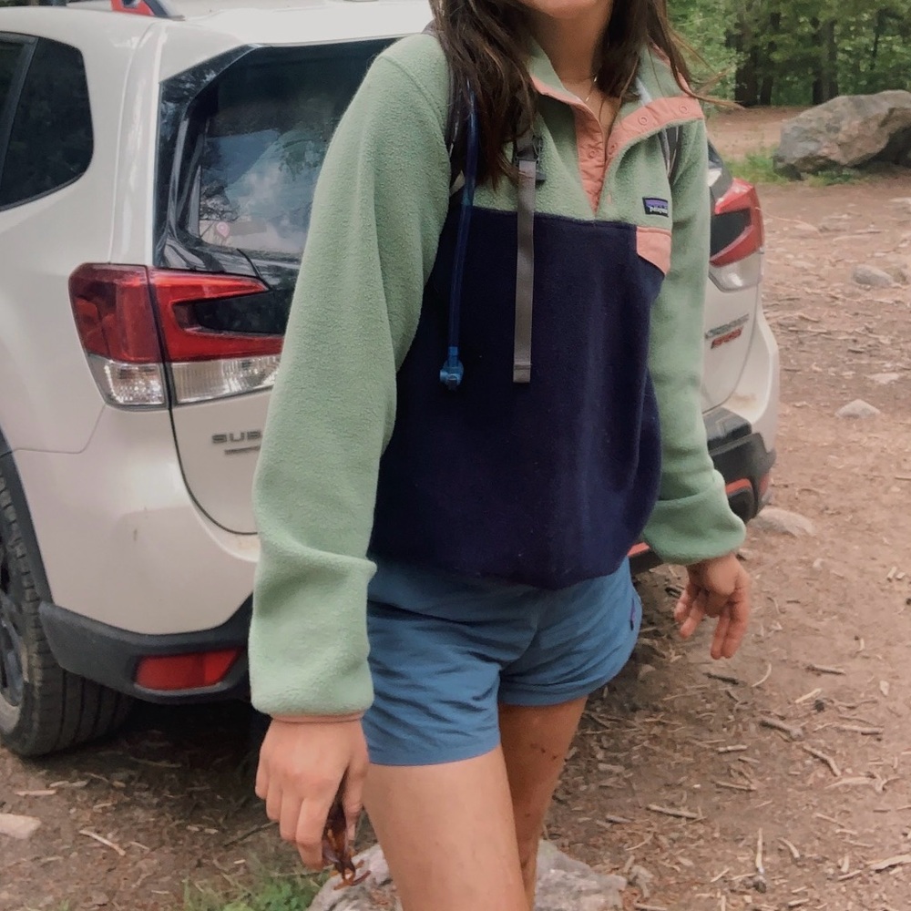 Patagonia Synchilla Fleece
